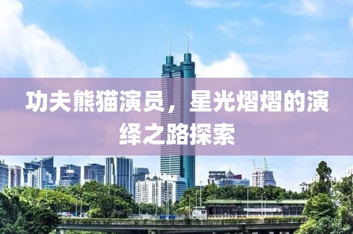 功夫熊猫演员，星光熠熠的演绎之路探索