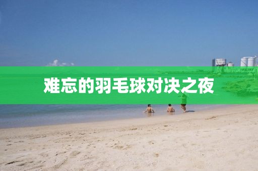 难忘的羽毛球对决之夜