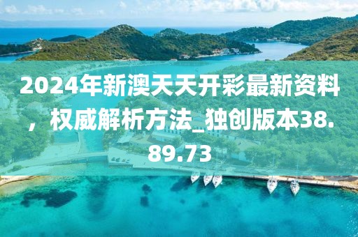 2024年新澳天天开彩最新资料，权威解析方法_独创版本38.89.73