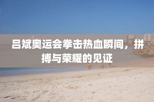 吕斌奥运会拳击热血瞬间，拼搏与荣耀的见证