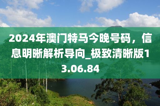 2024年澳门特马今晚号码，信息明晰解析导向_极致清晰版13.06.84