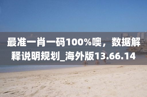 最准一肖一码100%噢，数据解释说明规划_海外版13.66.14
