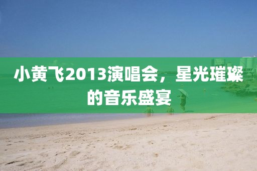 小黄飞2013演唱会，星光璀璨的音乐盛宴
