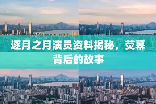 逐月之月演员资料揭秘，荧幕背后的故事