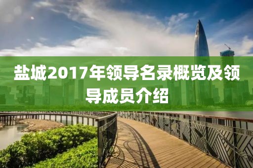 盐城2017年领导名录概览及领导成员介绍