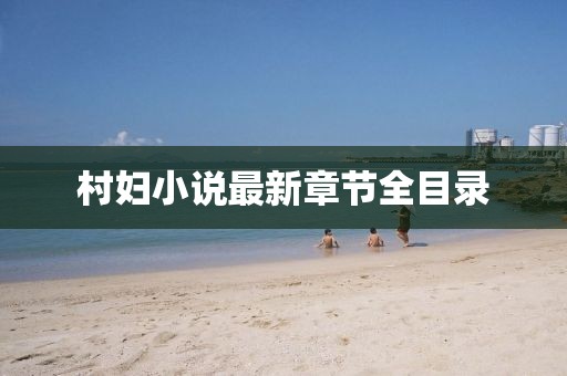 村妇小说最新章节全目录