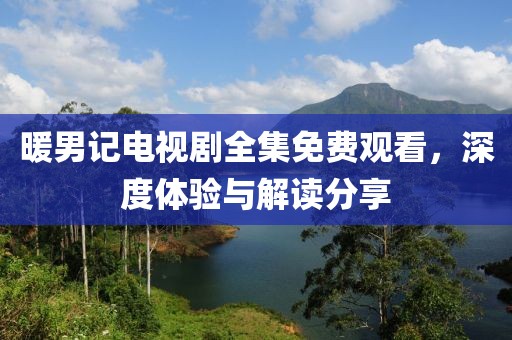 暖男记电视剧全集免费观看，深度体验与解读分享