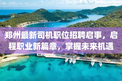 郑州最新司机职位招聘启事，启程职业新篇章，掌握未来机遇