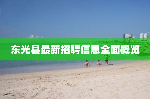 东光县最新招聘信息全面概览