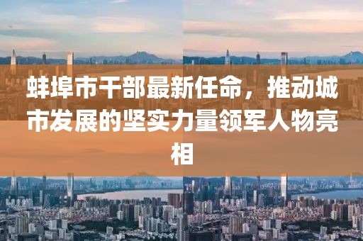 蚌埠市干部最新任命，推动城市发展的坚实力量领军人物亮相