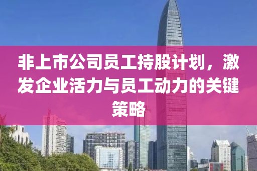 非上市公司员工持股计划，激发企业活力与员工动力的关键策略
