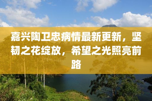 嘉兴陶卫忠病情最新更新，坚韧之花绽放，希望之光照亮前路