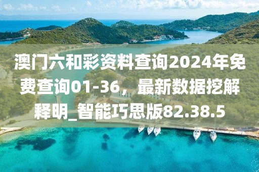 澳门六和彩资料查询2024年免费查询01-36，最新数据挖解释明_智能巧思版82.38.5