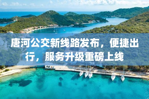 唐河公交新线路发布，便捷出行，服务升级重磅上线