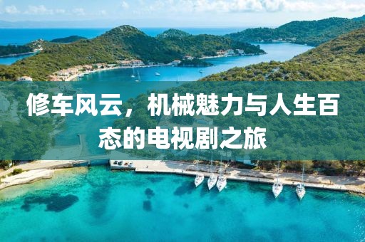 修车风云，机械魅力与人生百态的电视剧之旅
