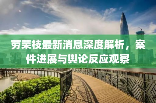 劳荣枝最新消息深度解析，案件进展与舆论反应观察