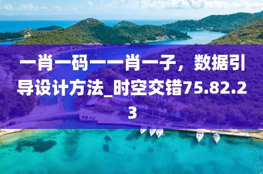 一肖一码一一肖一子，数据引导设计方法_时空交错75.82.23