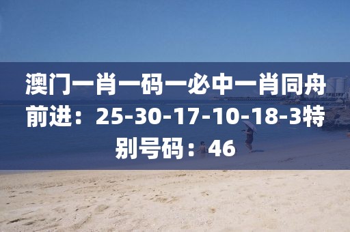 澳门一肖一码一必中一肖同舟前进：25-30-17-10-18-3特别号码：46
