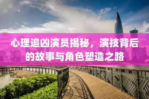 心理追凶演员揭秘，演技背后的故事与角色塑造之路