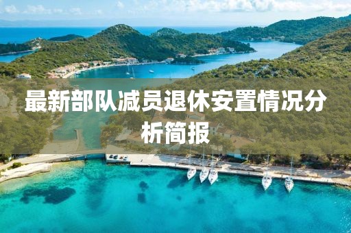 最新部队减员退休安置情况分析简报