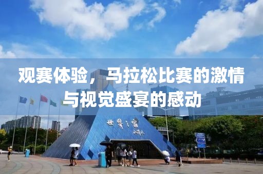 观赛体验，马拉松比赛的激情与视觉盛宴的感动
