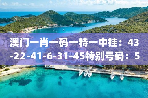 澳门一肖一码一特一中挂：43-22-41-6-31-45特别号码：5