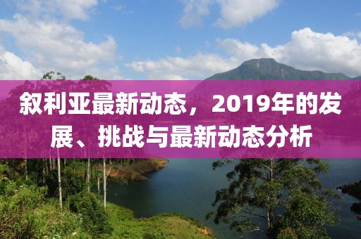 叙利亚最新动态，2019年的发展、挑战与最新动态分析