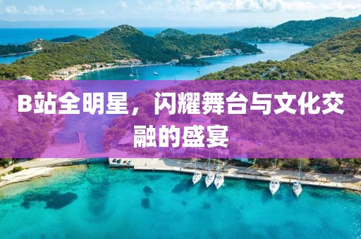 B站全明星，闪耀舞台与文化交融的盛宴
