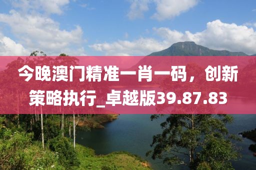 今晚澳门精准一肖一码，创新策略执行_卓越版39.87.83