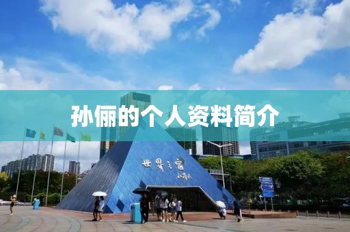 孙俪的个人资料简介