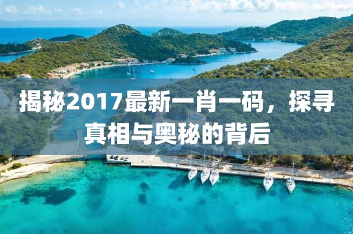揭秘2017最新一肖一码，探寻真相与奥秘的背后