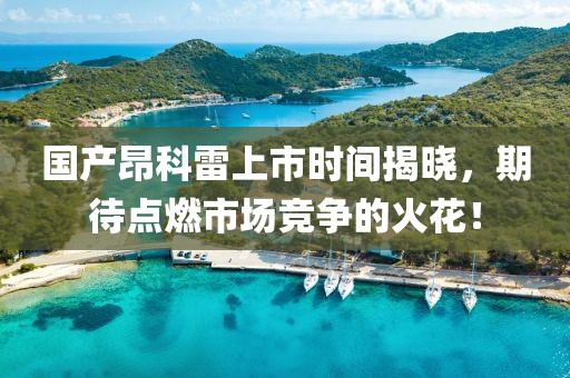 国产昂科雷上市时间揭晓，期待点燃市场竞争的火花！