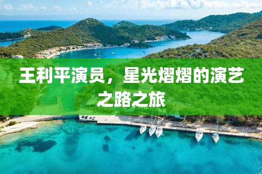 王利平演员，星光熠熠的演艺之路之旅