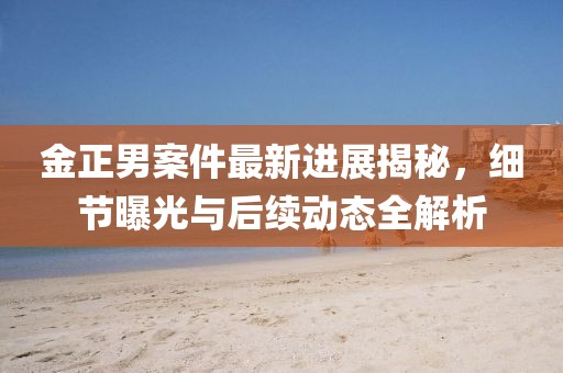 金正男案件最新进展揭秘，细节曝光与后续动态全解析