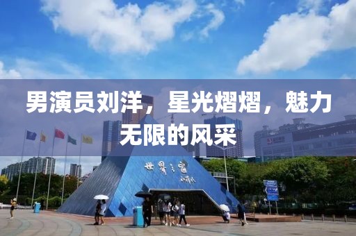 男演员刘洋，星光熠熠，魅力无限的风采