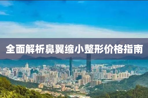 全面解析鼻翼缩小整形价格指南