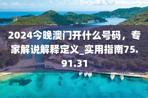2024今晚澳门开什么号码，专家解说解释定义_实用指南75.91.31