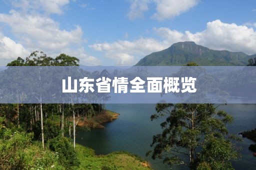 山东省情全面概览