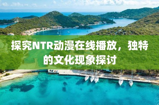 探究NTR动漫在线播放，独特的文化现象探讨