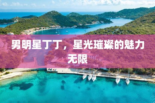 男明星丁丁，星光璀璨的魅力无限