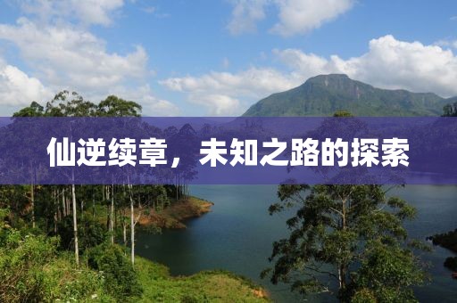 仙逆续章，未知之路的探索