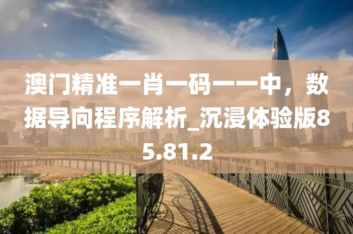 澳门精准一肖一码一一中，数据导向程序解析_沉浸体验版85.81.2
