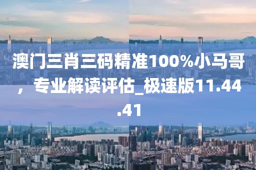 澳门三肖三码精准100%小马哥，专业解读评估_极速版11.44.41