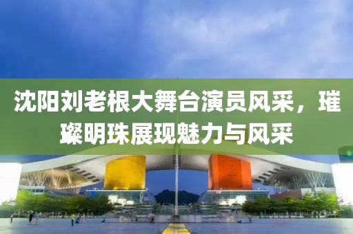 沈阳刘老根大舞台演员风采，璀璨明珠展现魅力与风采