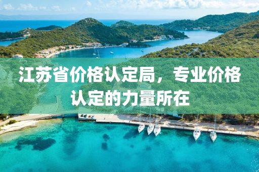江苏省价格认定局，专业价格认定的力量所在
