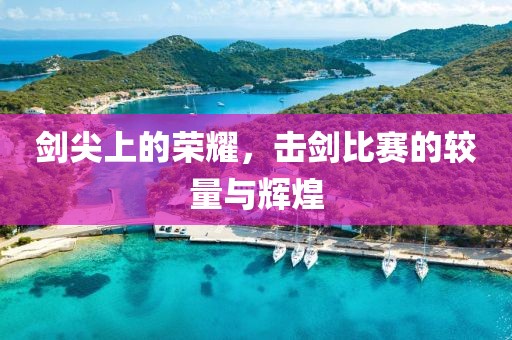 剑尖上的荣耀，击剑比赛的较量与辉煌