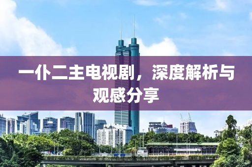 一仆二主电视剧，深度解析与观感分享