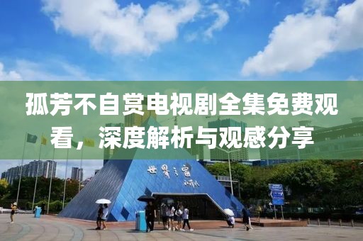 孤芳不自赏电视剧全集免费观看，深度解析与观感分享