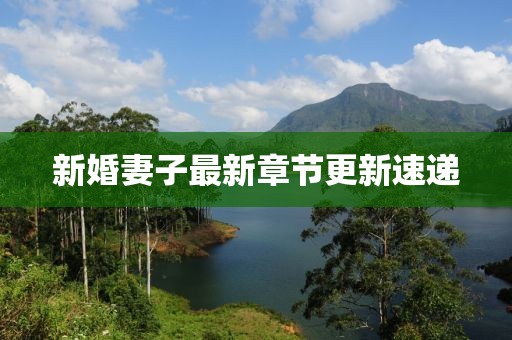 新婚妻子最新章节更新速递