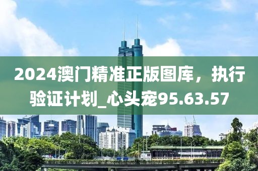2024澳门精准正版图库，执行验证计划_心头宠95.63.57